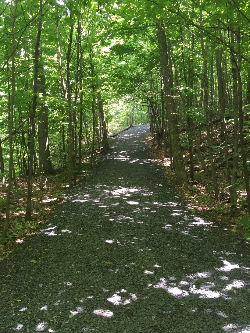 Travaux à venir dans le parc national du Mont-Saint-Bruno